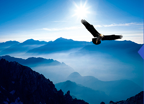 尊龙凯时·人生就是搏(中国集团)官网首页