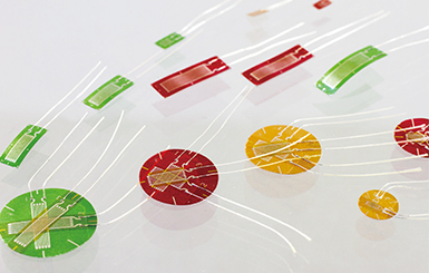 尊龙凯时·人生就是搏(中国集团)官网首页