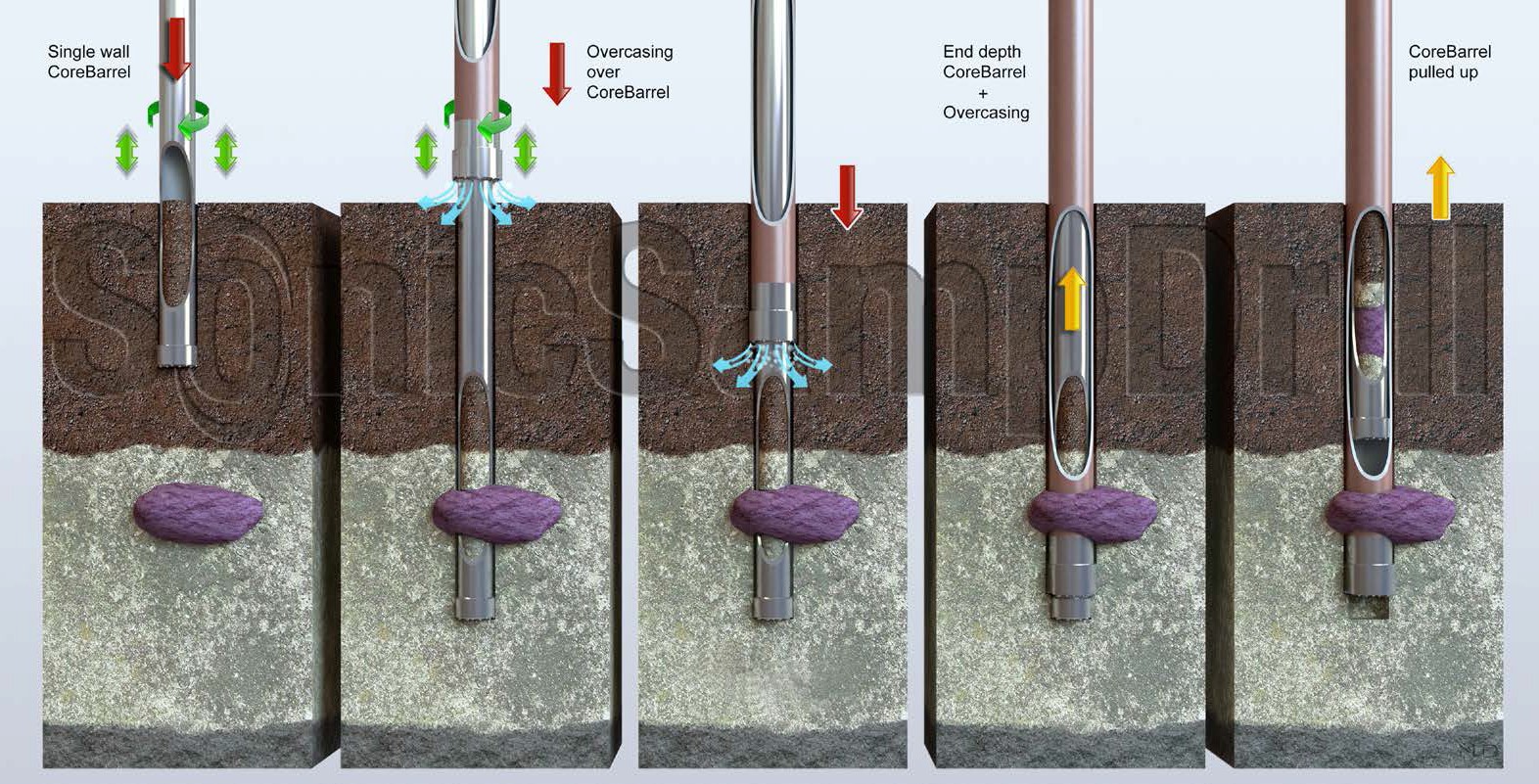 尊龙凯时·人生就是搏(中国集团)官网首页