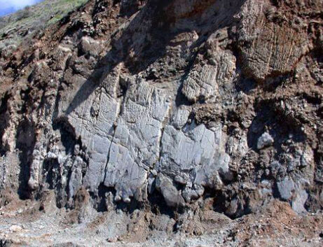 尊龙凯时·人生就是搏(中国集团)官网首页