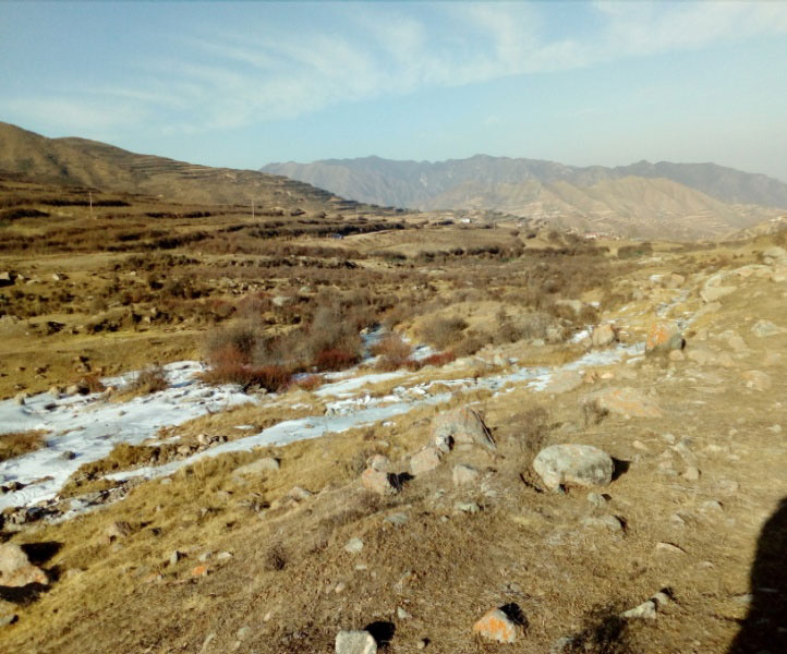 尊龙凯时·人生就是搏(中国集团)官网首页