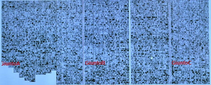 尊龙凯时·人生就是搏(中国集团)官网首页