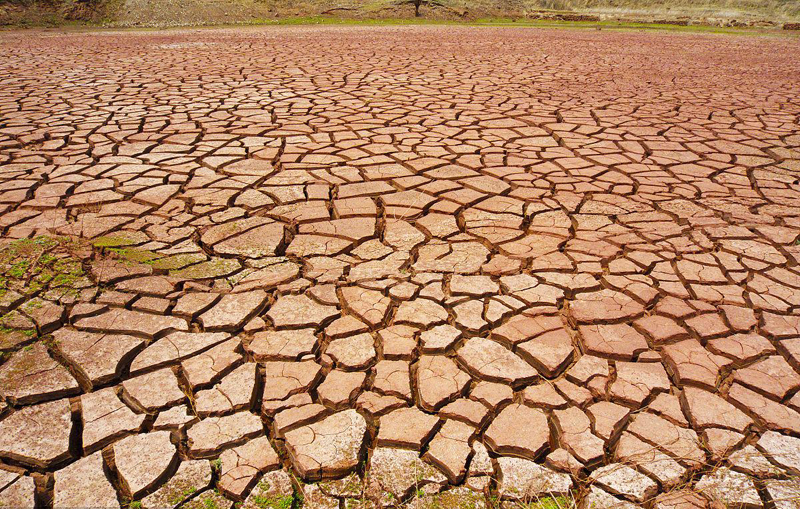 尊龙凯时·人生就是搏(中国集团)官网首页