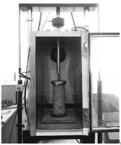 尊龙凯时·人生就是搏(中国集团)官网首页