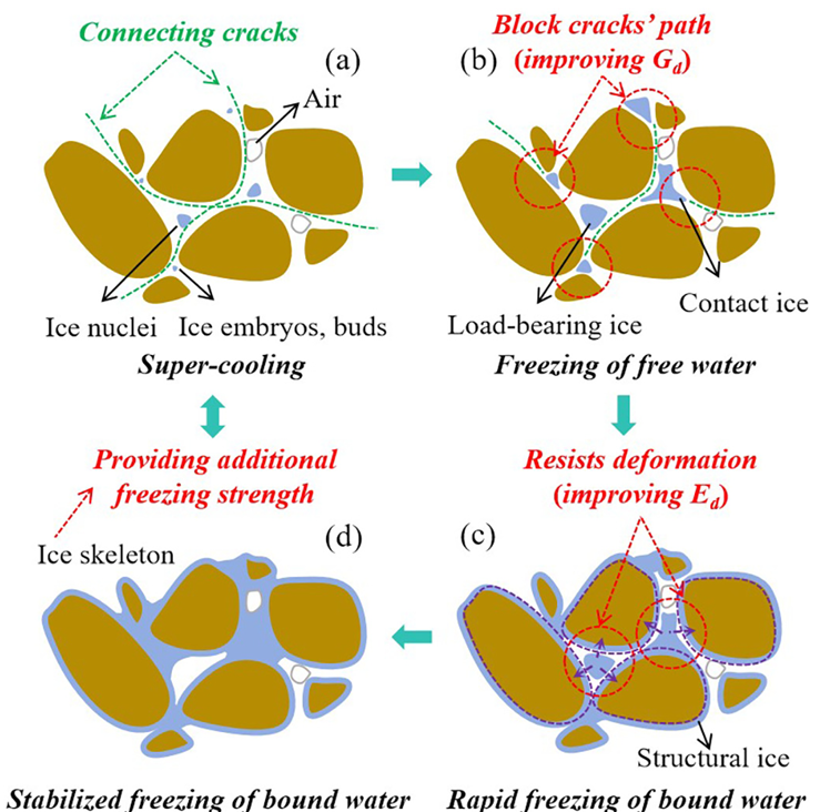 尊龙凯时·人生就是搏(中国集团)官网首页