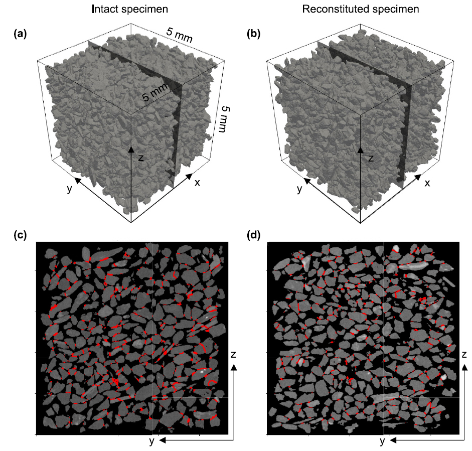尊龙凯时·人生就是搏(中国集团)官网首页