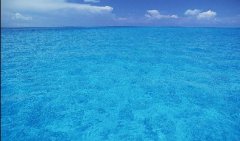 尊龙凯时·人生就是搏(中国集团)官网首页