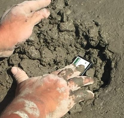 尊龙凯时·人生就是搏(中国集团)官网首页