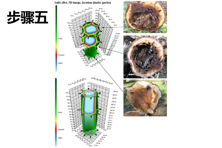 尊龙凯时·人生就是搏(中国集团)官网首页