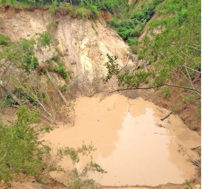 尊龙凯时·人生就是搏(中国集团)官网首页